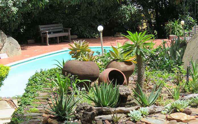 A view of the garden near a swimming pool